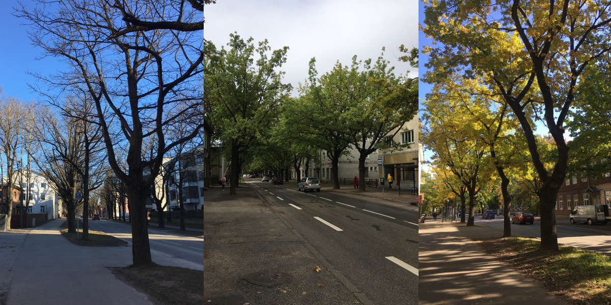 A collage of photos of the street Näituse in Tartu.