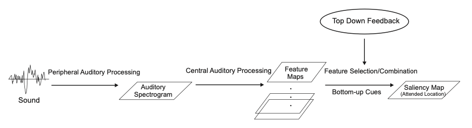 Figure 2. A diagram showcasing the generation of feature and saliency maps